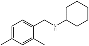 N-[(2,4-dimethylphenyl)methyl]cyclohexanamine 结构式