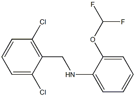 N-[(2,6-dichlorophenyl)methyl]-2-(difluoromethoxy)aniline 结构式