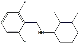 N-[(2,6-difluorophenyl)methyl]-2,3-dimethylcyclohexan-1-amine 结构式