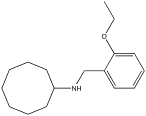 N-[(2-ethoxyphenyl)methyl]cyclooctanamine 结构式