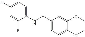 N-[(3,4-dimethoxyphenyl)methyl]-2,4-difluoroaniline 结构式