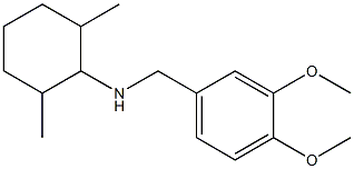 N-[(3,4-dimethoxyphenyl)methyl]-2,6-dimethylcyclohexan-1-amine 结构式