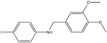 N-[(3,4-dimethoxyphenyl)methyl]-4-iodoaniline 结构式