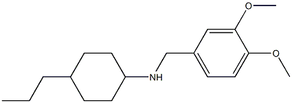N-[(3,4-dimethoxyphenyl)methyl]-4-propylcyclohexan-1-amine 结构式