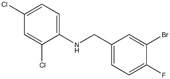 N-[(3-bromo-4-fluorophenyl)methyl]-2,4-dichloroaniline 结构式