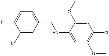 N-[(3-bromo-4-fluorophenyl)methyl]-4-chloro-2,5-dimethoxyaniline 结构式