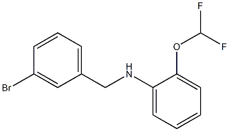N-[(3-bromophenyl)methyl]-2-(difluoromethoxy)aniline 结构式
