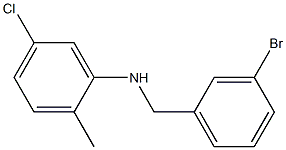 N-[(3-bromophenyl)methyl]-5-chloro-2-methylaniline 结构式