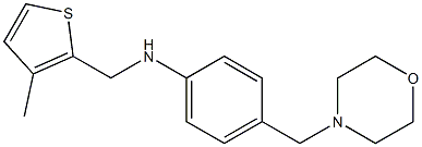N-[(3-methylthiophen-2-yl)methyl]-4-(morpholin-4-ylmethyl)aniline 结构式