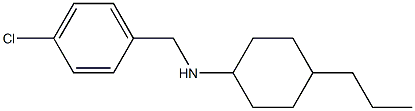 N-[(4-chlorophenyl)methyl]-4-propylcyclohexan-1-amine 结构式