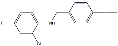 N-[(4-tert-butylphenyl)methyl]-2-chloro-4-fluoroaniline 结构式