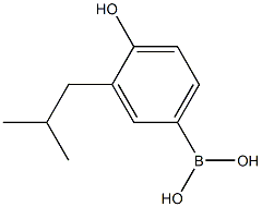 4-hydroxy-3-isobutylphenylboronic acid 结构式