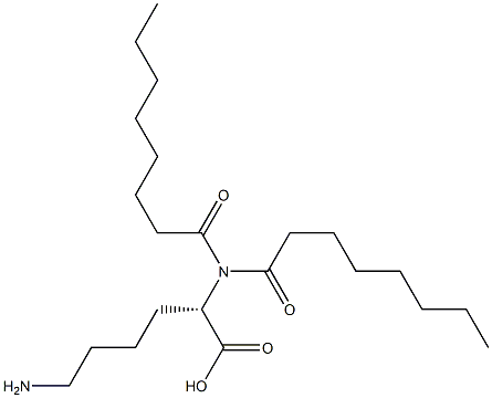 dioctanoyl lysine 结构式