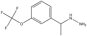 1-(1-(3-(trifluoromethoxy)phenyl)ethyl)hydrazine 结构式