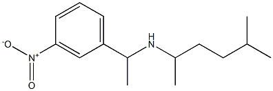 (5-methylhexan-2-yl)[1-(3-nitrophenyl)ethyl]amine 结构式