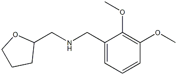 [(2,3-dimethoxyphenyl)methyl](oxolan-2-ylmethyl)amine 结构式