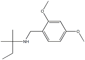 [(2,4-dimethoxyphenyl)methyl](2-methylbutan-2-yl)amine 结构式