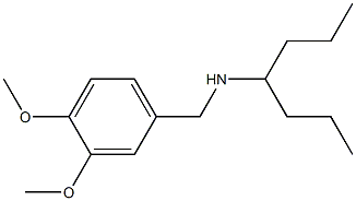 [(3,4-dimethoxyphenyl)methyl](heptan-4-yl)amine 结构式