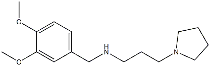 [(3,4-dimethoxyphenyl)methyl][3-(pyrrolidin-1-yl)propyl]amine 结构式