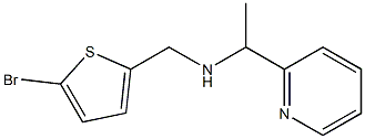 [(5-bromothiophen-2-yl)methyl][1-(pyridin-2-yl)ethyl]amine 结构式