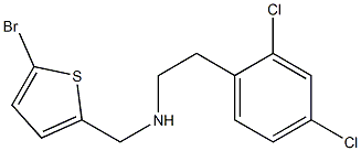 [(5-bromothiophen-2-yl)methyl][2-(2,4-dichlorophenyl)ethyl]amine 结构式