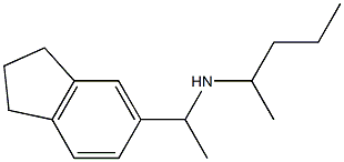 [1-(2,3-dihydro-1H-inden-5-yl)ethyl](pentan-2-yl)amine 结构式