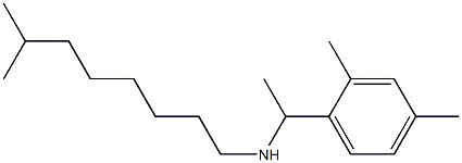 [1-(2,4-dimethylphenyl)ethyl](7-methyloctyl)amine 结构式