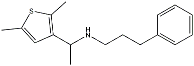 [1-(2,5-dimethylthiophen-3-yl)ethyl](3-phenylpropyl)amine 结构式