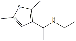 [1-(2,5-dimethylthiophen-3-yl)ethyl](ethyl)amine 结构式