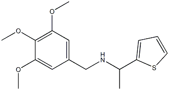 [1-(thiophen-2-yl)ethyl][(3,4,5-trimethoxyphenyl)methyl]amine 结构式