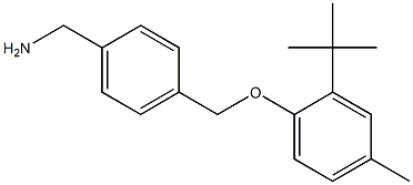 [4-(2-tert-butyl-4-methylphenoxymethyl)phenyl]methanamine 结构式