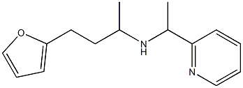 [4-(furan-2-yl)butan-2-yl][1-(pyridin-2-yl)ethyl]amine 结构式