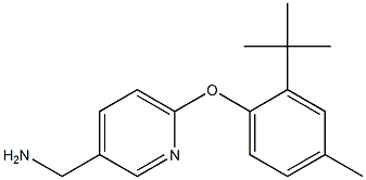 [6-(2-tert-butyl-4-methylphenoxy)pyridin-3-yl]methanamine 结构式