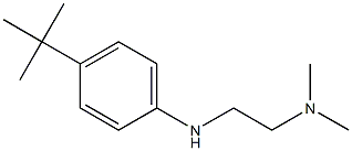 {2-[(4-tert-butylphenyl)amino]ethyl}dimethylamine 结构式