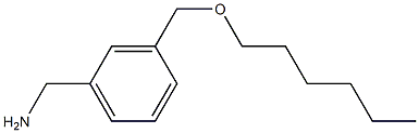 {3-[(hexyloxy)methyl]phenyl}methanamine 结构式