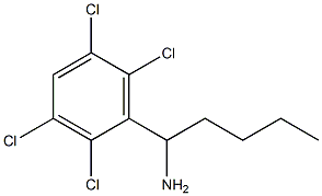 1-(2,3,5,6-tetrachlorophenyl)pentan-1-amine 结构式