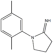 1-(2,5-dimethylphenyl)pyrrolidin-2-imine 结构式