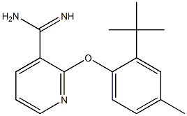 2-(2-tert-butyl-4-methylphenoxy)pyridine-3-carboximidamide 结构式