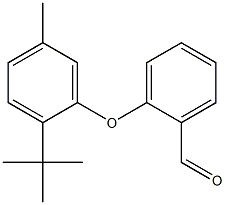 2-(2-tert-butyl-5-methylphenoxy)benzaldehyde 结构式