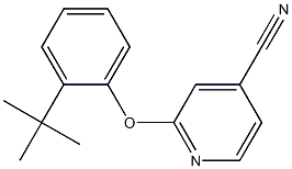 2-(2-tert-butylphenoxy)pyridine-4-carbonitrile 结构式