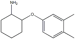 2-(3,4-dimethylphenoxy)cyclohexan-1-amine 结构式