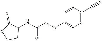 2-(4-cyanophenoxy)-N-(2-oxooxolan-3-yl)acetamide 结构式