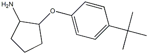 2-(4-tert-butylphenoxy)cyclopentanamine 结构式