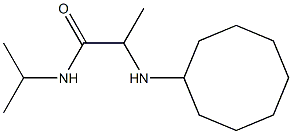 2-(cyclooctylamino)-N-(propan-2-yl)propanamide 结构式