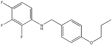 2,3,4-trifluoro-N-[(4-propoxyphenyl)methyl]aniline 结构式