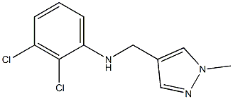 2,3-dichloro-N-[(1-methyl-1H-pyrazol-4-yl)methyl]aniline 结构式