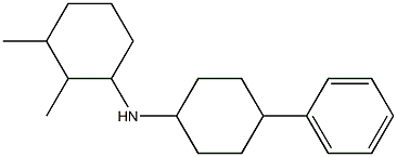 2,3-dimethyl-N-(4-phenylcyclohexyl)cyclohexan-1-amine 结构式