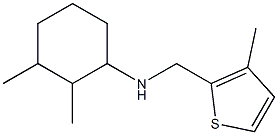2,3-dimethyl-N-[(3-methylthiophen-2-yl)methyl]cyclohexan-1-amine 结构式