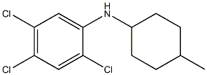 2,4,5-trichloro-N-(4-methylcyclohexyl)aniline 结构式