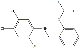 2,4,5-trichloro-N-{[2-(difluoromethoxy)phenyl]methyl}aniline 结构式